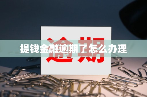 提钱金融逾期了怎么办理