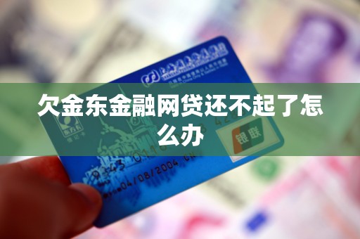 欠金东金融网贷还不起了怎么办