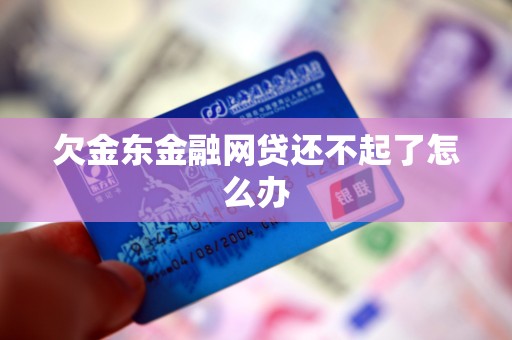 欠金东金融网贷还不起了怎么办