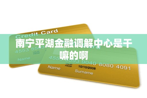 南宁平湖金融调解中心是干嘛的啊