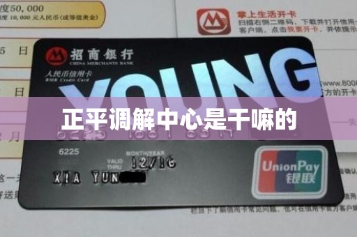 正平调解中心是干嘛的