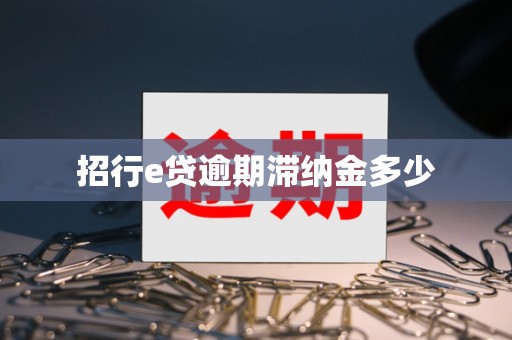 招行e贷逾期滞纳金多少