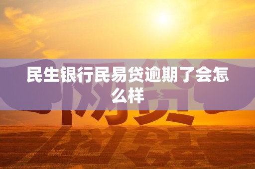 民生银行民易贷逾期了会怎么样