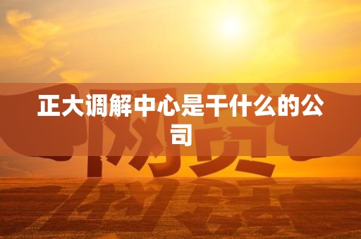 正大调解中心是干什么的公司
