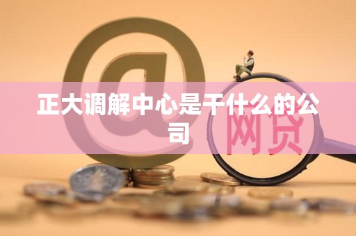 正大调解中心是干什么的公司
