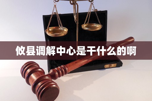 攸县调解中心是干什么的啊