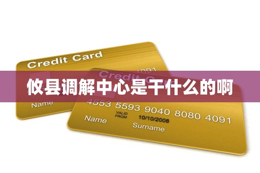攸县调解中心是干什么的啊