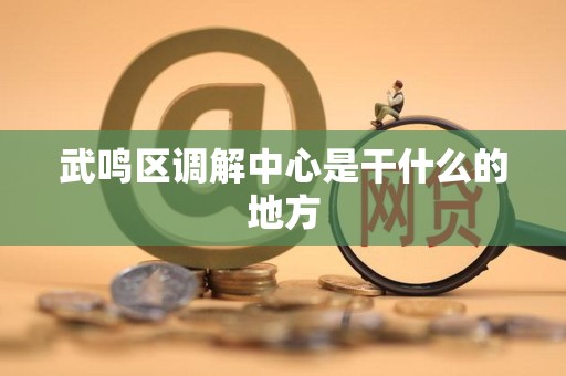 武鸣区调解中心是干什么的地方