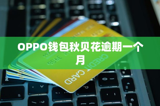 OPPO钱包秋贝花逾期一个月