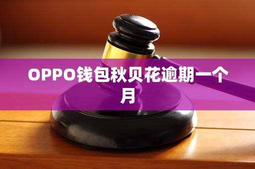 OPPO钱包秋贝花逾期一个月