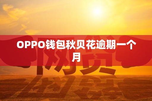 OPPO钱包秋贝花逾期一个月