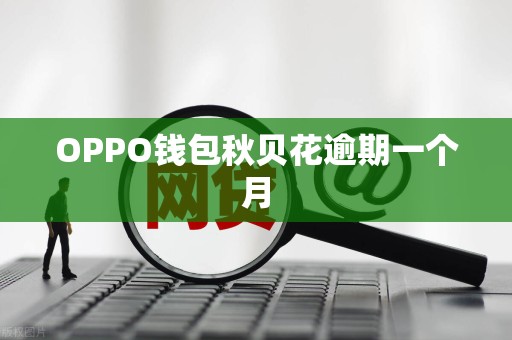 OPPO钱包秋贝花逾期一个月
