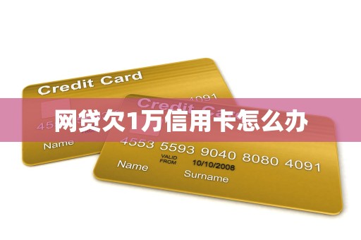 网贷欠1万信用卡怎么办