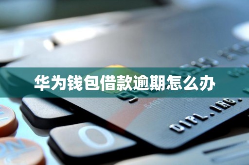 华为钱包借款逾期怎么办