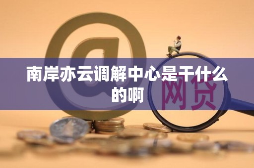 南岸亦云调解中心是干什么的啊