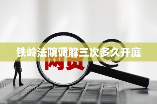 铁岭法院调解三次多久开庭