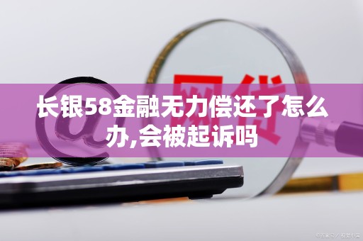 长银58金融无力偿还了怎么办,会被起诉吗