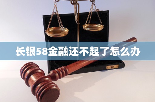 长银58金融还不起了怎么办