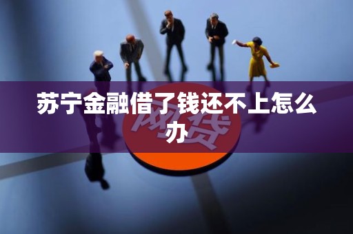 苏宁金融借了钱还不上怎么办