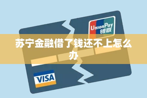 苏宁金融借了钱还不上怎么办