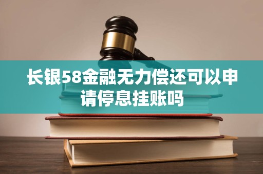 长银58金融无力偿还可以申请停息挂账吗