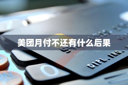 美团月付不还有什么后果