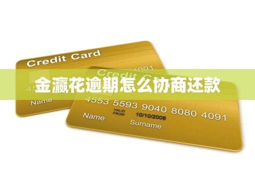 金瀛花逾期怎么协商还款