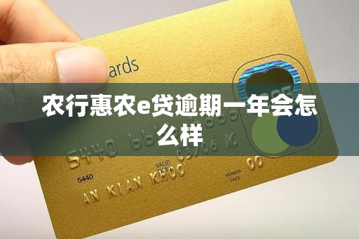 农行惠农e贷逾期一年会怎么样