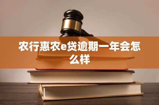 农行惠农e贷逾期一年会怎么样