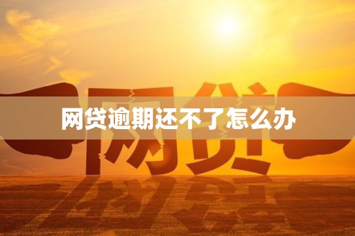网贷逾期还不了怎么办
