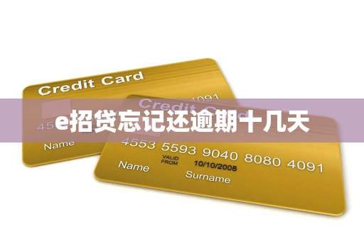 e招贷忘记还逾期十几天