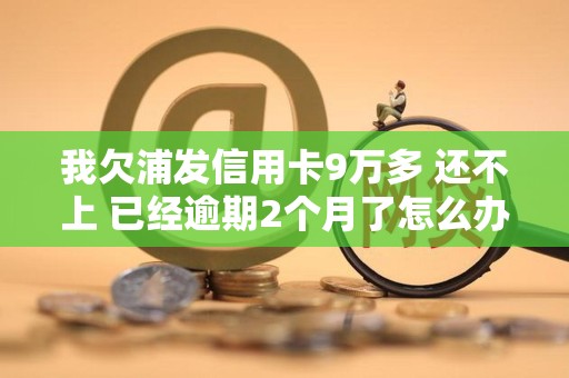 我欠浦发信用卡9万多 还不上 已经逾期2个月了怎么办