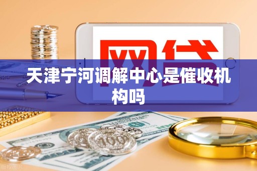 天津宁河调解中心是催收机构吗