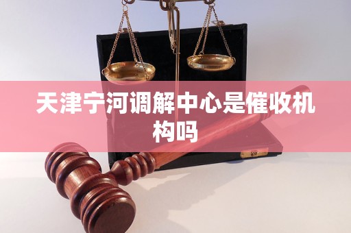 天津宁河调解中心是催收机构吗