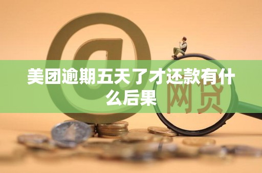 美团逾期五天了才还款有什么后果