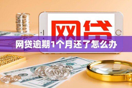 网贷逾期1个月还了怎么办