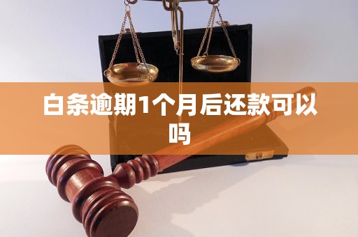 白条逾期1个月后还款可以吗