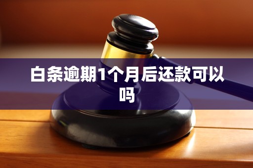 白条逾期1个月后还款可以吗