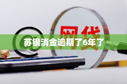 苏银消金逾期了6年了