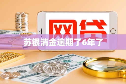 苏银消金逾期了6年了