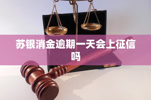 苏银消金逾期一天会上征信吗