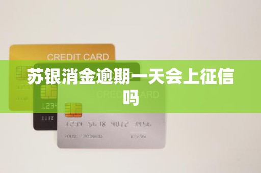 苏银消金逾期一天会上征信吗