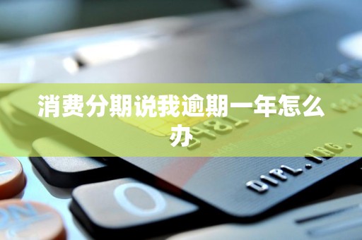 消费分期说我逾期一年怎么办