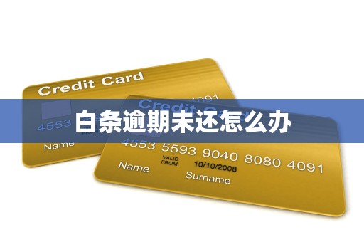 白条逾期未还怎么办