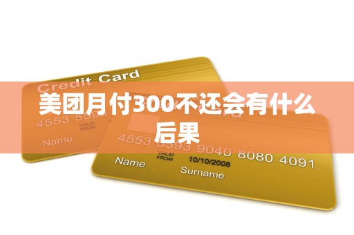 美团月付300不还会有什么后果