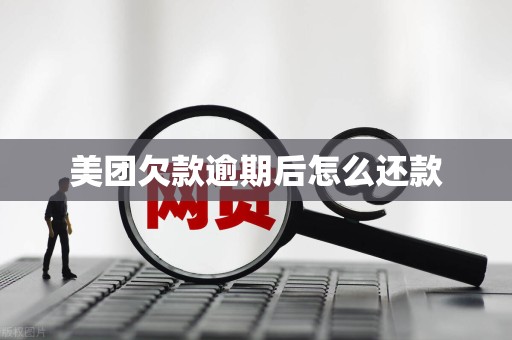 美团欠款逾期后怎么还款