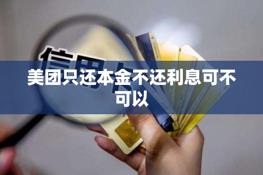 美团只还本金不还利息可不可以