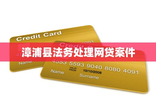 漳浦县法务处理网贷案件