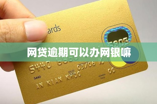 网贷逾期可以办网银嘛