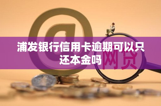 浦发银行信用卡逾期可以只还本金吗